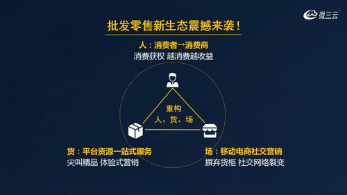 挂售系统源码,挂售系统定制开发,挂售模式定制,微三云麦超