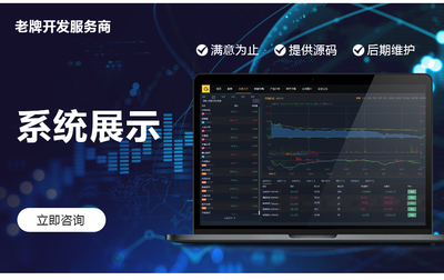 网站定制开发