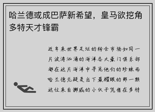 哈兰德或成巴萨新希望，皇马欲挖角多特天才锋霸
