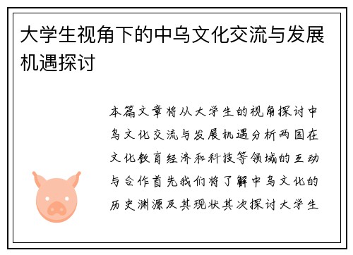 大学生视角下的中乌文化交流与发展机遇探讨