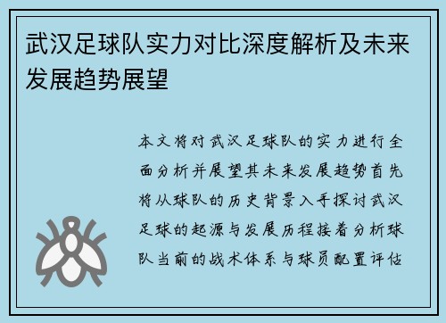 武汉足球队实力对比深度解析及未来发展趋势展望