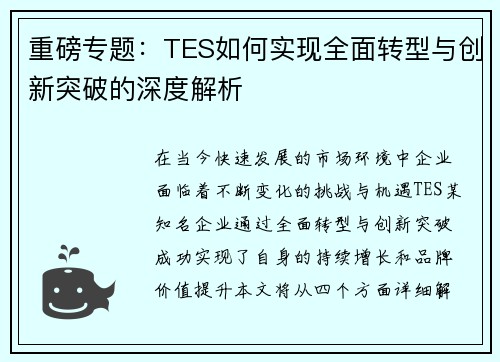 重磅专题：TES如何实现全面转型与创新突破的深度解析